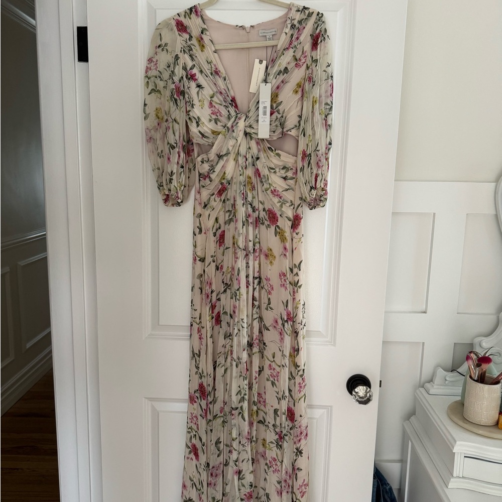 ML Monique Lhuillier Chiffon Floral Maxi Dress